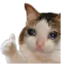 sadOK