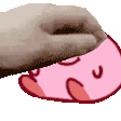 kirbpet
