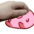 kirbpet