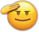 salute