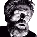 willemshock