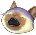 Palicohead