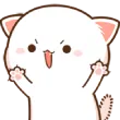 RRR_meaw