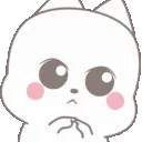 ks_zshy_cat ks_zshy_cat