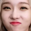 WinterPout Discord Emoji