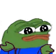 ct_shrug