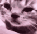 ch_sadness Discord emoji