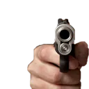 D2S_E_leftvibecheckgun