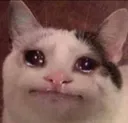 cryingcatto
