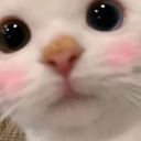 Michiiblush Discord emoji