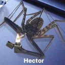 hector