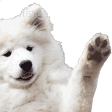 WavingBoi