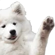 WavingBoi WavingBoi
