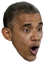 obamapog