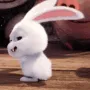 rabbitshake