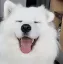 floof Discord Emoji