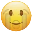 crying_inside