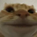 Cumcat Discord Emoji