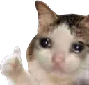 CryingCat