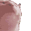 rainfall_white_hype
