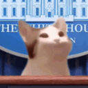 Presidentbop Discord emoji