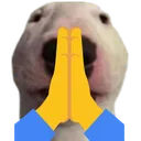 WalterPray