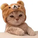 bearcat Discord Emoji