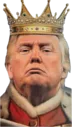 kingtrump kingtrump