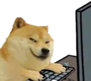 dogeowned