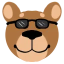 8893_SunglassesBear