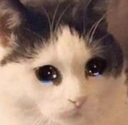 cri Discord emoji