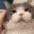 w_rubbingcat
