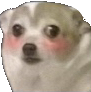 dogiblush Discord emoji