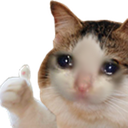 sadthumbsup Discord emoji