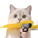 i_shoot_u