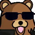cool_bear