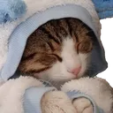 sleepingkitty