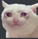 SadCat