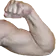 w_flexL