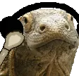 KomodoJAM