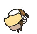 HEFSAmeliaRoll