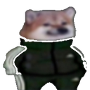 dh_swag Discord emoji