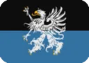 flag_svc
