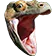 KomodoHype