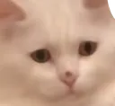 ohno