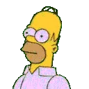 Homerhide