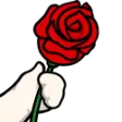 rose rose