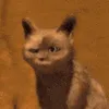 Catastrophe_CatDamn Catastrophe_CatDamn