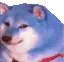 RGBdoge