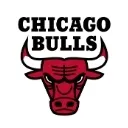 bulls